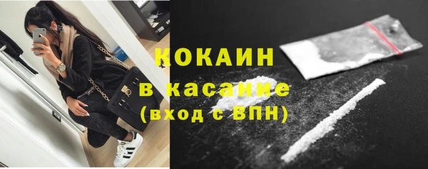 ешки Осинники