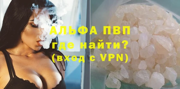 крисы Осташков