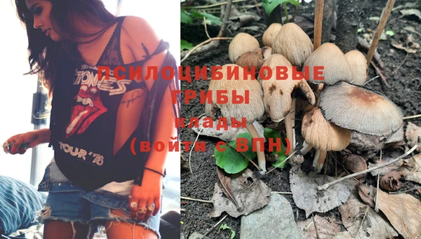гидропоника Горно-Алтайск